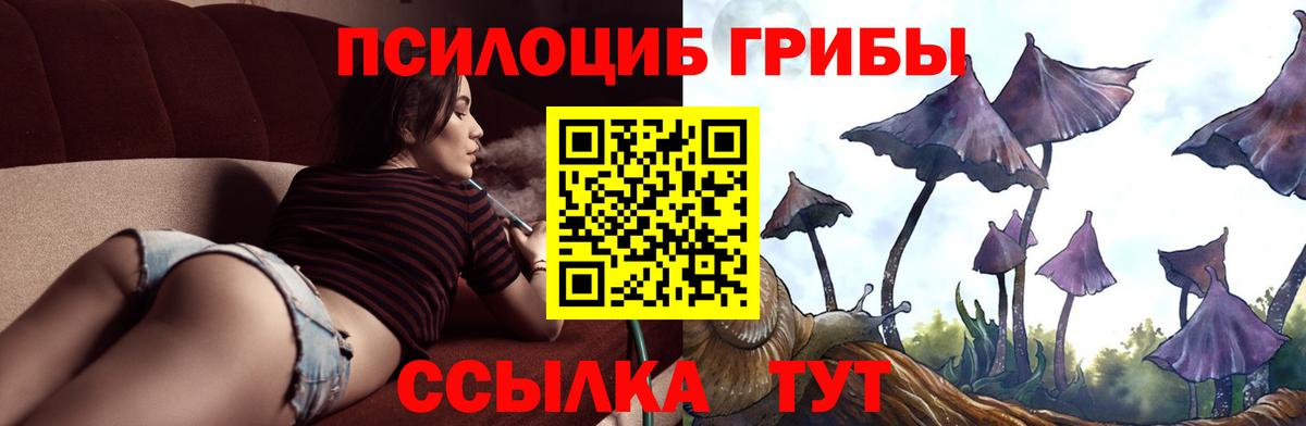 Галлюциногенные грибы мухоморы Элиста